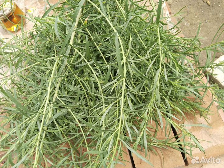 Сухая ромашка,также перегородки грецкого ореха