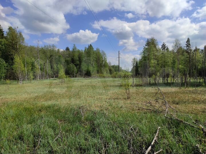 Участок 5,8 га (СНТ, ДНП)