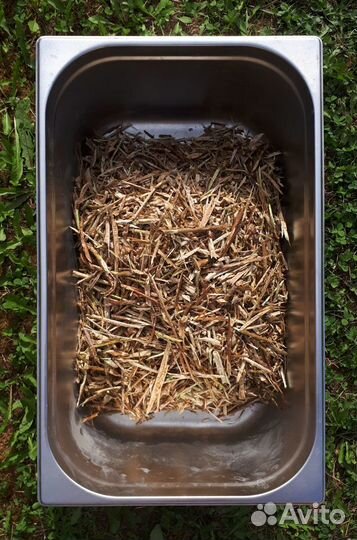 Щепа смесь плодовых культур для копчения