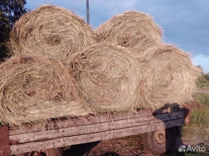 Сено в тюках