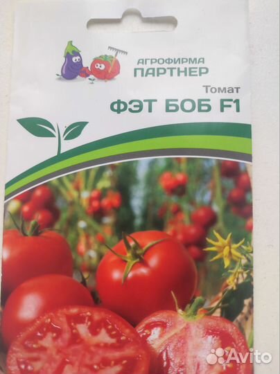 Рассада помидор