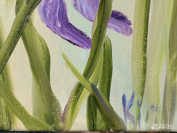 Картина маслом - синие ирисы расцвели в саду