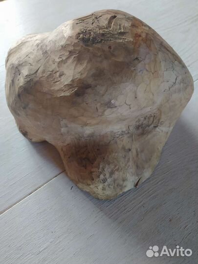 Кап сувель береза