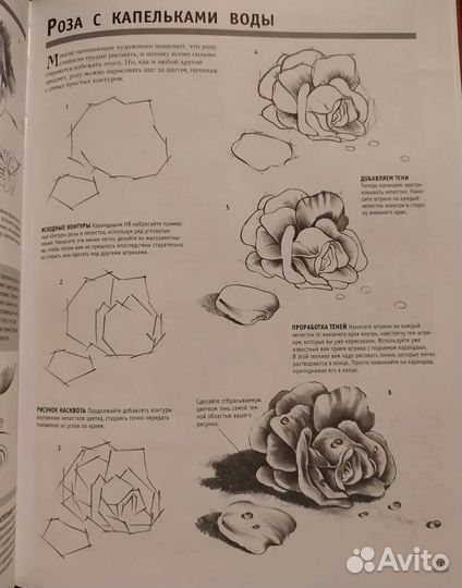 Полный курс рисования и живописи