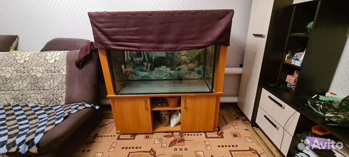 Аквариум на 200 литров с тумбой