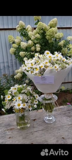 Букеты из ромашек