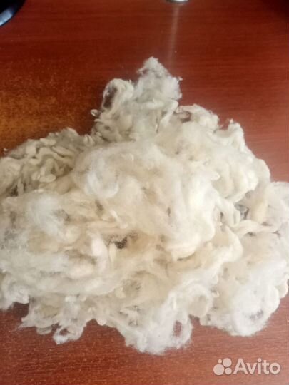 Шерсть овечья мытая