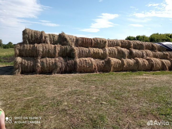 Сено в рулонах