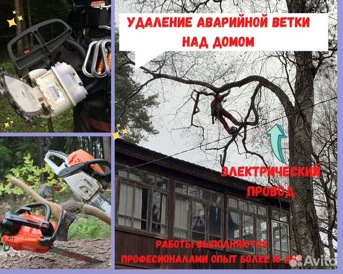 Спилить дерево. Обрезка плодовых. Садовник