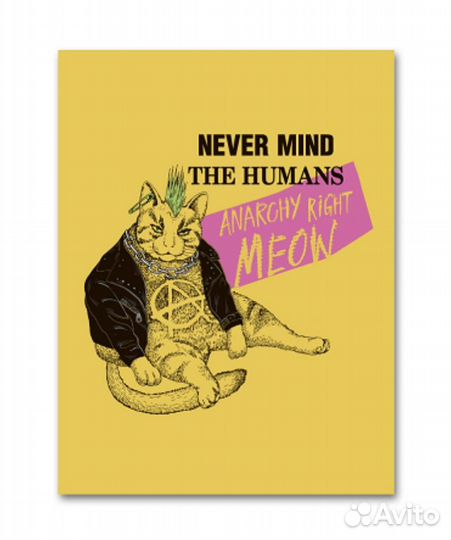 Постер barking store формата А1