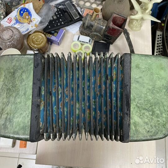 Гармонь Беларусь (сзр)