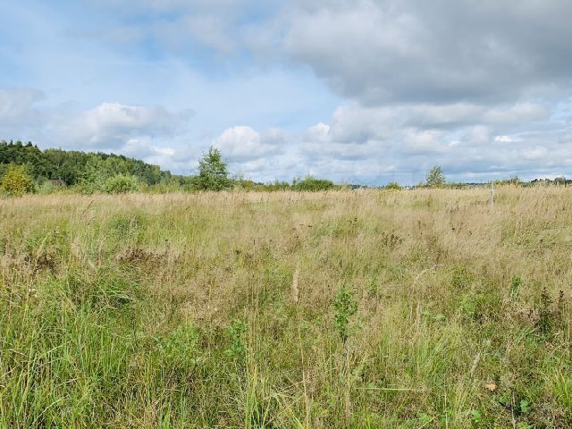 Участок 16 сот. (ИЖС)