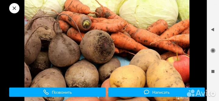 Морковь. Свёкла. Картофель.Соленья