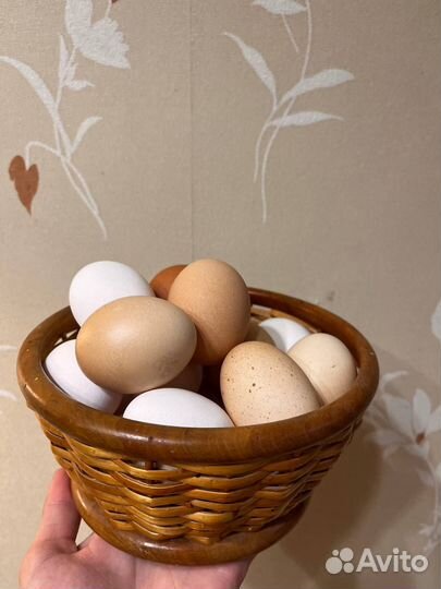 Домашние деревенские куриные яйца
