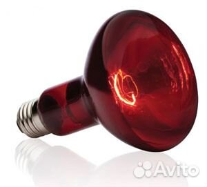 Тепловая инфракрасная лампа / красная для обогрева
