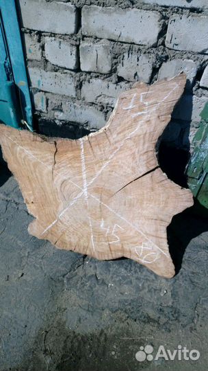 Прикорневые спилы кавказского дуба