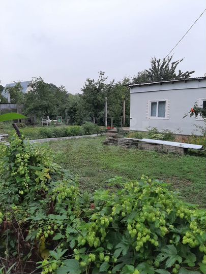 Дача 34 м² на участке 4,8 сот.