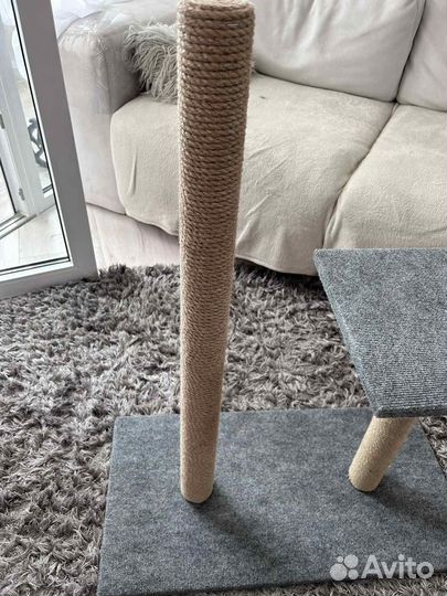 Когтеточка новая