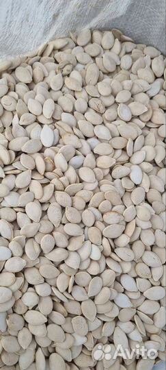 Семечки тыквы