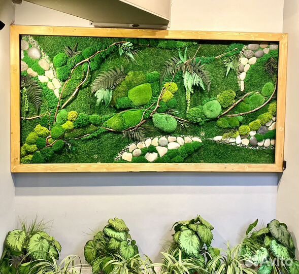 Мох. Озеленение. Декор. Фитостена