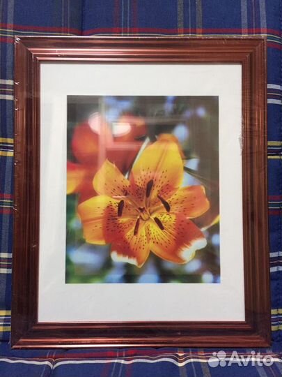 Рамка для фото новая