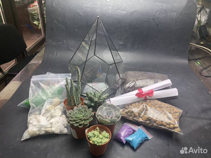 Подарочный набор для создания флорариума