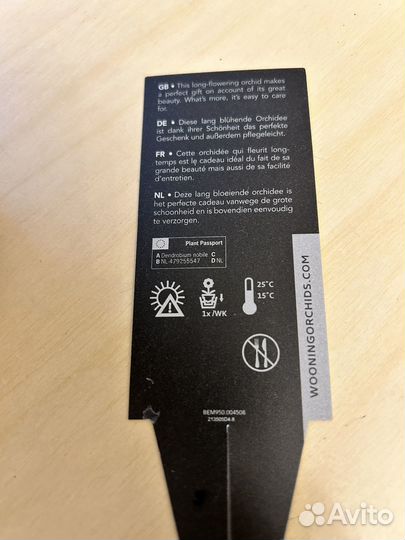 Дендробиум нобиле орхидея