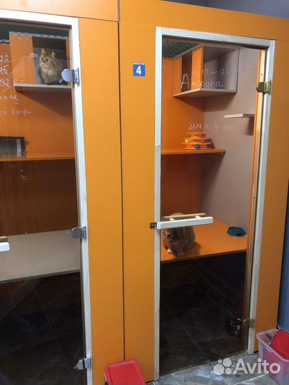 Зоогостиница, передержка животных