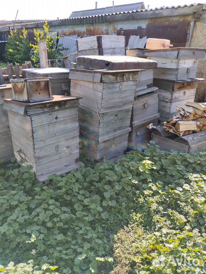 Ульи для пчел
