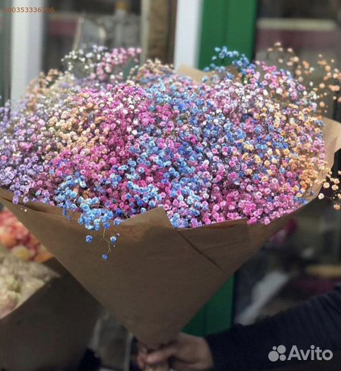 Букет из 25 веток разноцветной гипсофилы (Арт.52423)