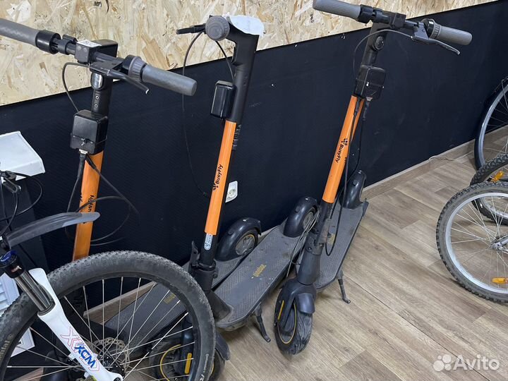 Прокат велосипедов