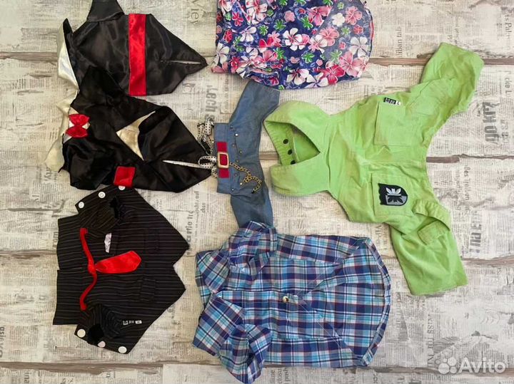 Одежда для собак