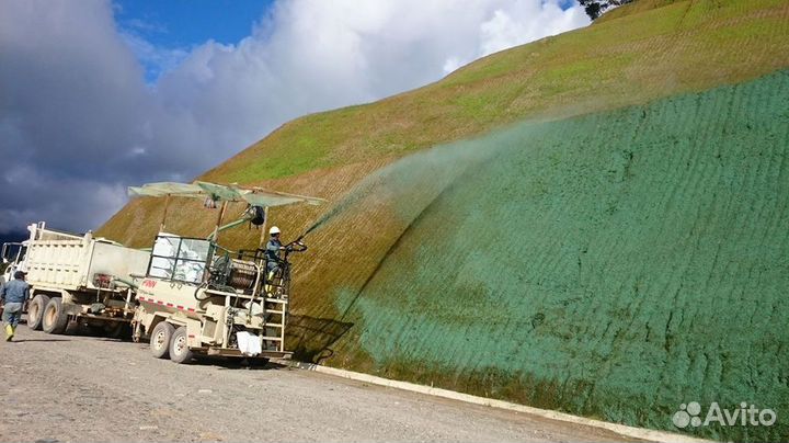 Посев газона