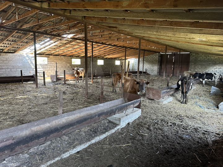 Участок 1,5 га (ИЖС)