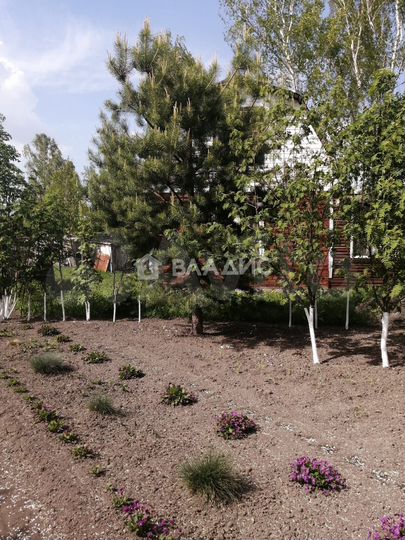 Дом 25 м² на участке 31 сот.