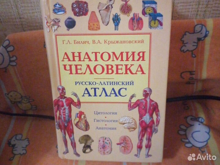 Атлас Анатомия Человека