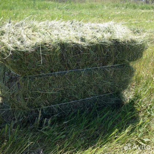 Сено в тюках