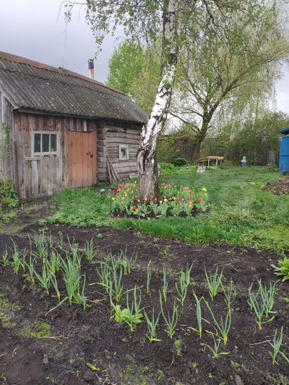 Дом 50 м² на участке 20 сот.