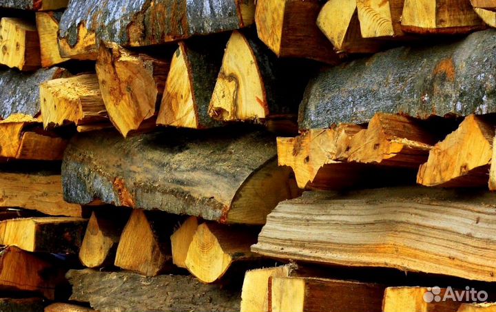 Дрова свежие