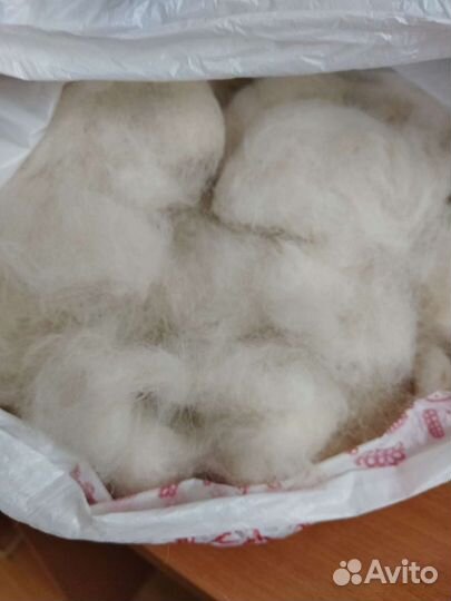 Шерсть Самоеда