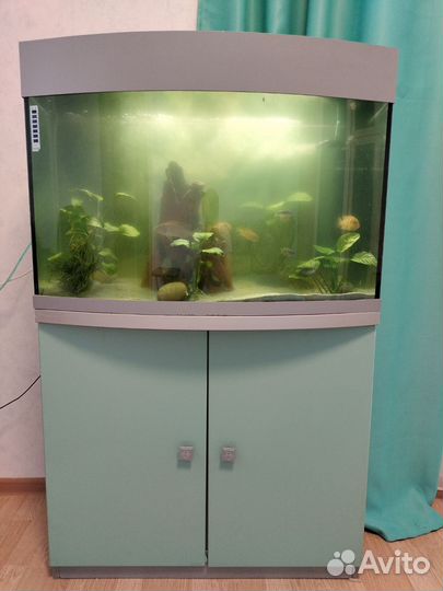 Аквариум с тумбой 140 литров