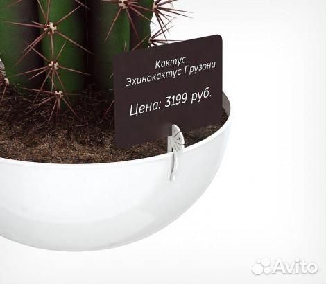 Ценникодержатель для колбас deli