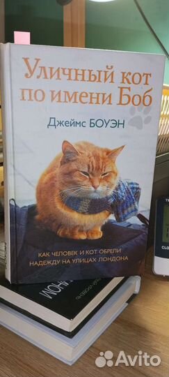Джеймс Боуэн Уличный кот
