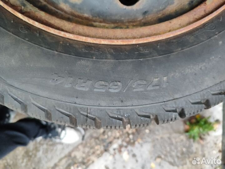 Viatti Brina Nordico V-522 175/65 R14