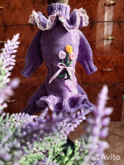 Одежда для собак