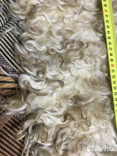 Мех овчина на воротник, манжеты