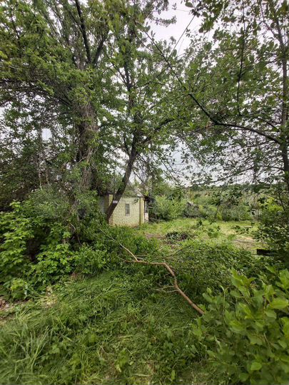 Дача 11 м² на участке 6 сот.