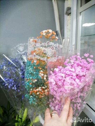 Гипсофила разные цвета