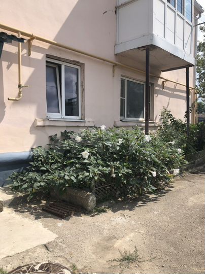 3-к. квартира, 43,9 м², 1/2 эт.