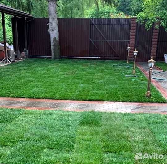 Газон. Рулонный газон